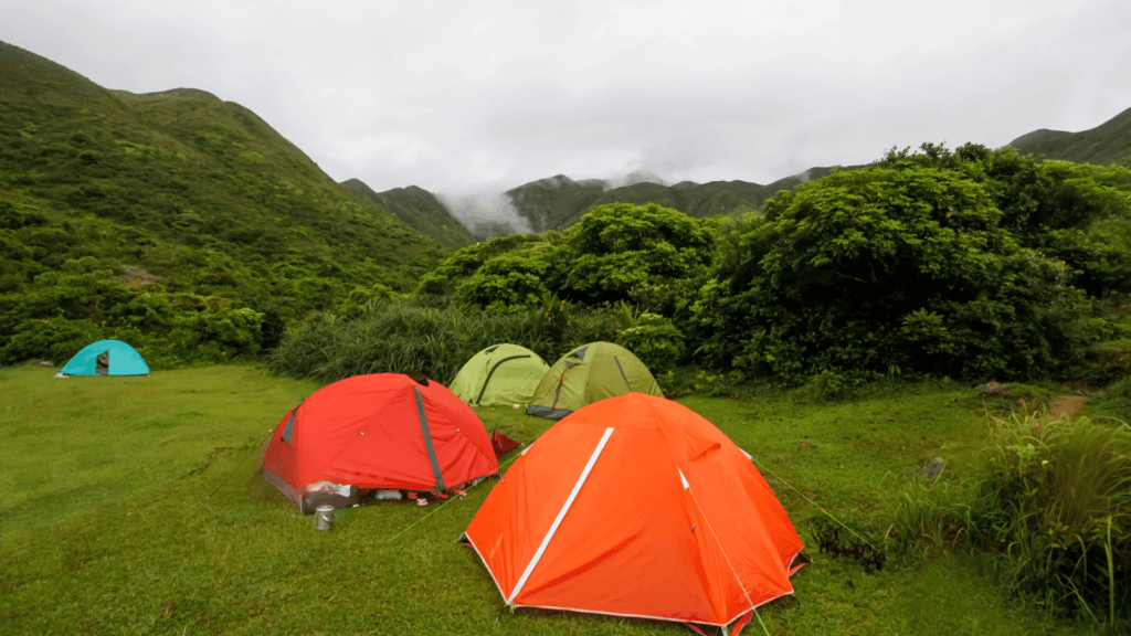 Backpacking tents